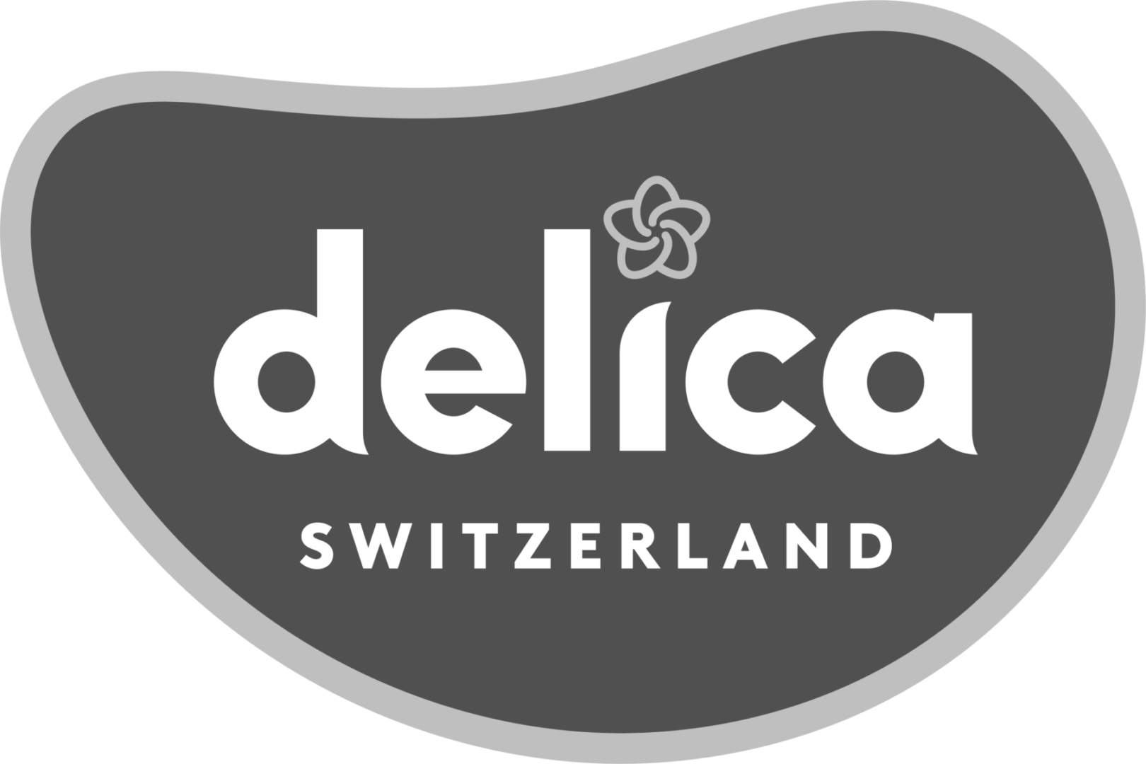 Delica 1 Logo GRAU